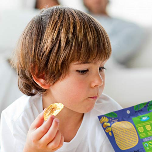 Banana Joe Sea Salt Banana Chips - Healthy Vegan Snacks with 1 Billion Probiotics, Gluten Free, Paleo, Non-GMO, Unsweetened Dried Bananas for Adults & Kids | Perfect for School Lunches, Office Snacks & On-the-Go Energy Boost