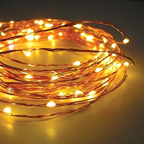 TORCHSTAR 33ft 100LEDs Fairy String Lights - Dimmable Waterproof Copper Wire Firefly Lights with Remote Control & UL-Listed USB Adapter (Warm White) - Perfect for Christmas Decor, Bedroom, Wedding, Party, Garden, and Outdoor Festival Lighting