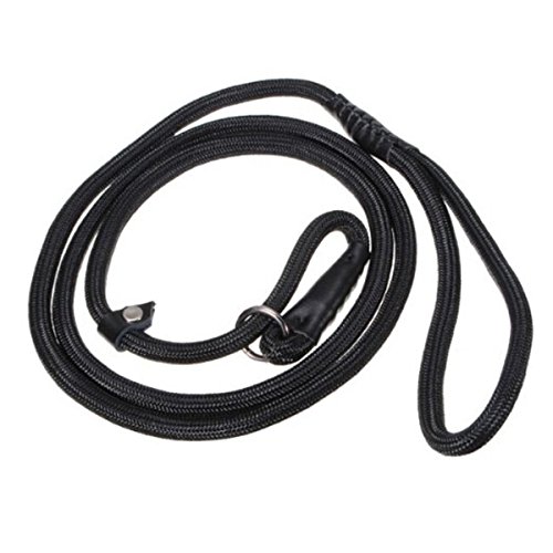 Scicalife 150cm Heavy Duty Nylon Adjustable Slip Lead Dog Leash - Durable Training Collar & Walking Rope for Small Medium Large Dogs (Black) - Perfect for Obedience Training, Daily Walks & Outdoor Adventures