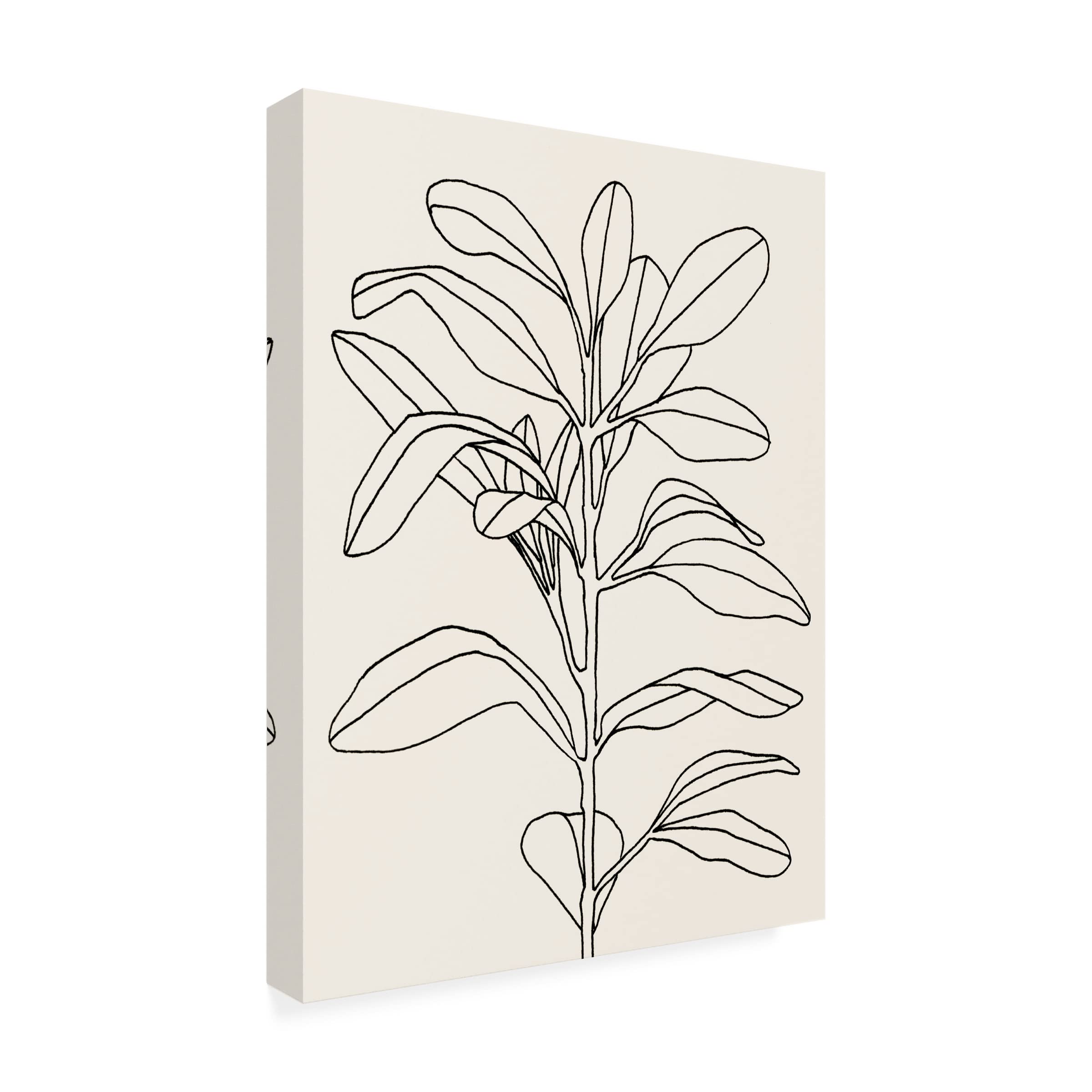 Emma Scarvey 'Olive Branch Contour I' Canvas Wall Art Print - Modern Botanical Home Decor for Living Room, Bedroom & Office