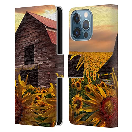 Sunflower Dance