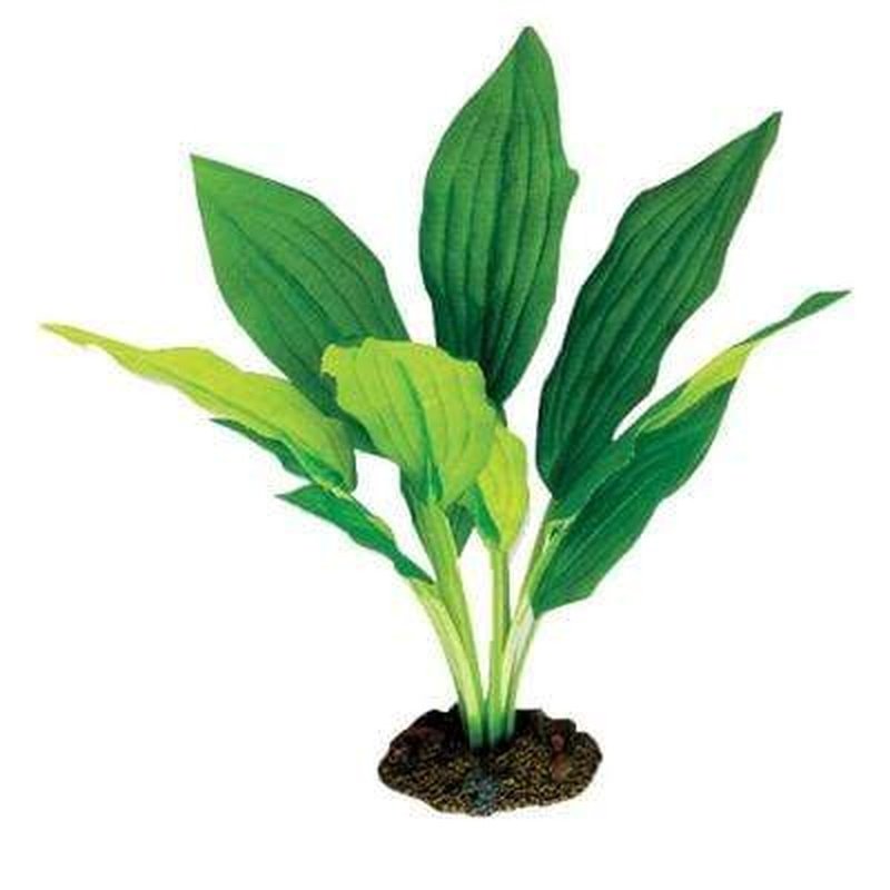 Aqua One Amazon Broad Leaf Silk Plant - Realistic Artificial Aquatic Plant for Fish Tanks, Aquariums & Home Decor - Perfect for Betta Fish, Goldfish & Tropical Fish Habitats