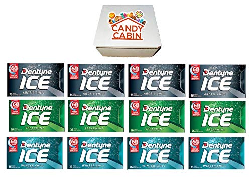 Dentyne Ice Sugar Free Chewing Gum Variety Pack - 12 Packs of 16 Pieces (Arctic Chill, Spearmint, Winter Chill) | Fresh Breath, Sugar-Free Mint Gum for Work, Travel & Daily Use