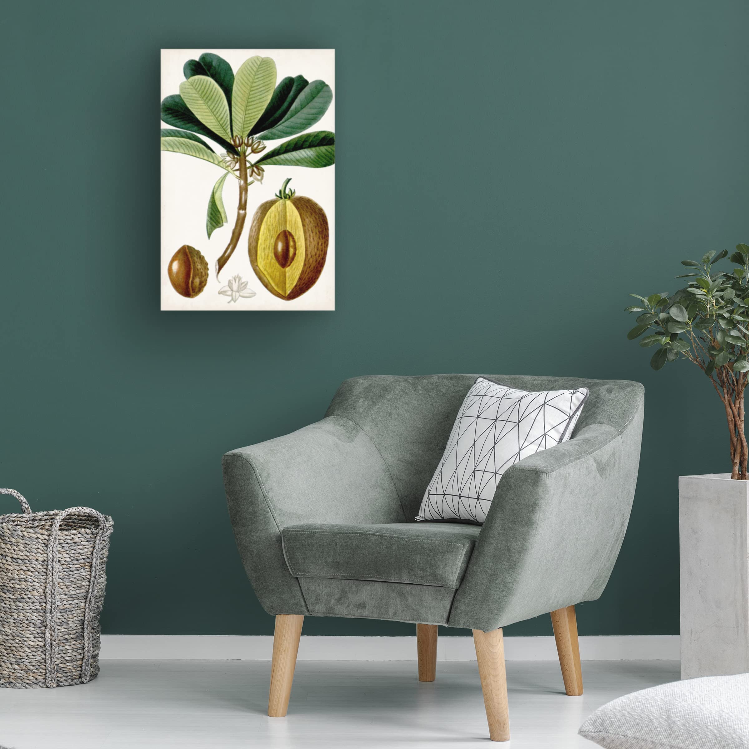 Trademark Fine Art 'Turpin Tropical Fruit VI' Canvas Wall Art Print - Vibrant Tropical Fruit Painting for Home, Office & Kitchen Decor