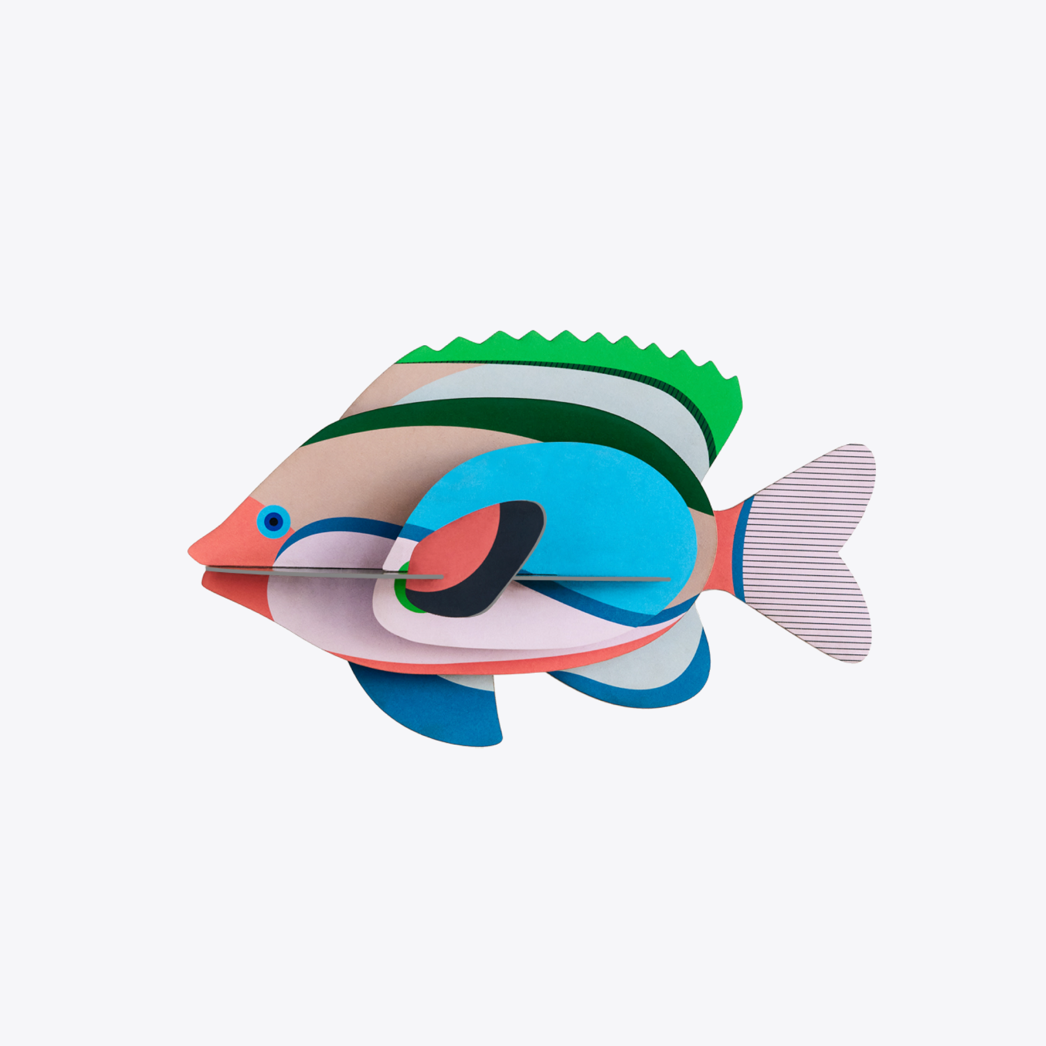 Fairy Wrasse Fish - Vibrant Saltwater Aquarium Fish for Reef Tanks | Perfect for Marine Fish Enthusiasts & Coral Reef Displays