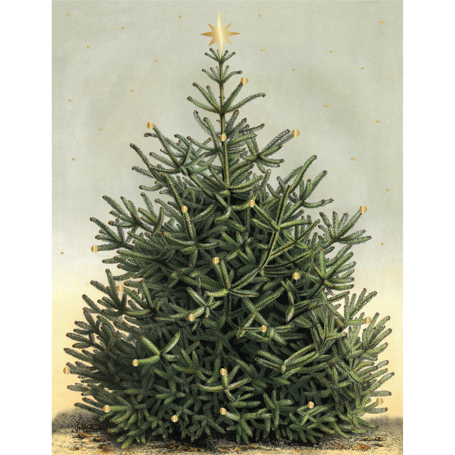 Christmas Tree Greeting Card - Holiday Season Greetings for Family & Friends - Perfect for Christmas Decorations & Gifting