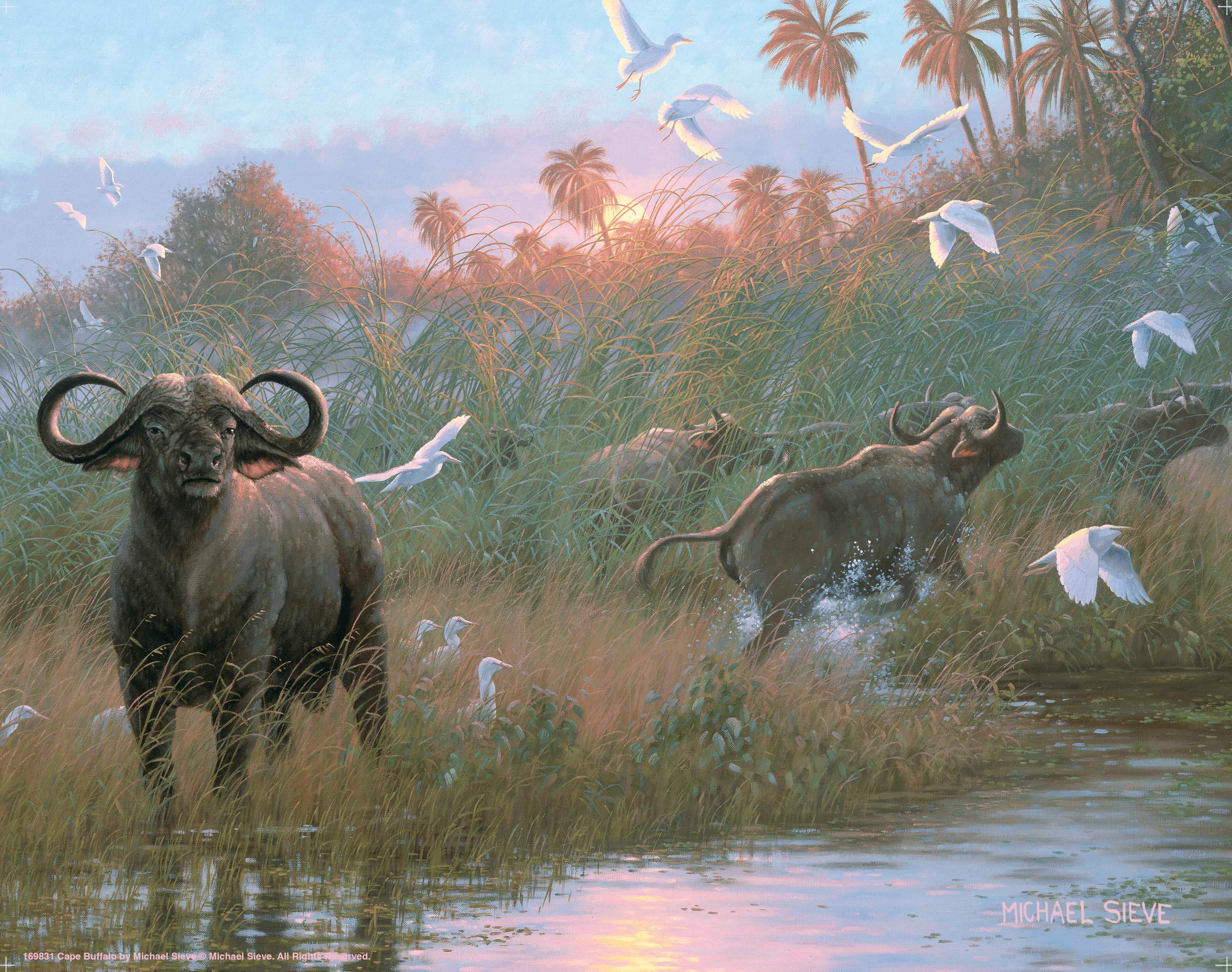 Premium Cape Buffalo Art Prints - High-Quality Wildlife Wall Decor for Home & Office | Perfect for Living Room, Bedroom & Office Spaces