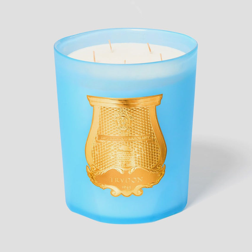 Cire Trudon Versailles Scented Candles - Luxury French Home Fragrance for Living Room, Bedroom & Bathroom | Spring Garden Scented Soy Wax Candle for Relaxation & Aromatherapy