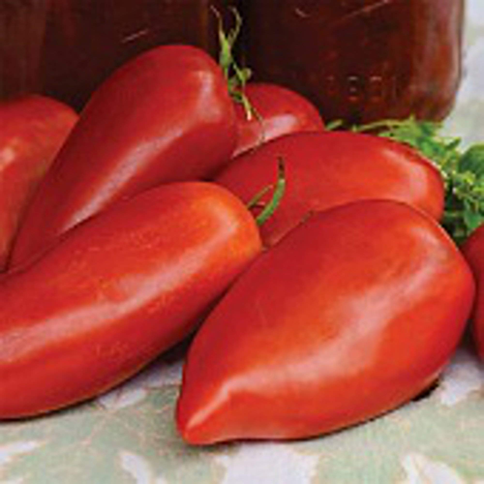 Premium Jersey Devil Tomato Seeds (20+ Seeds) | Non-GMO Heirloom Variety | High-Yield Vegetable Seeds for Home Garden, Greenhouse & Container Planting | Perfect for Sauces, Salads & Canning