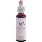 Rock Rose Essential Oil 20ml - Pure & Natural Aromatherapy Oil for Stress Relief, Relaxation & Emotional Balance - Perfect for Diffusers, Massage & Skincare