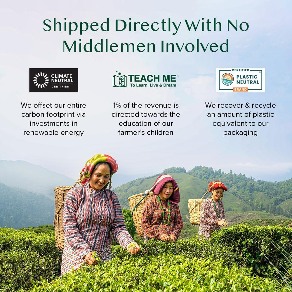 VAHDAM Assorted Chai Tea Variety Pack - 6 Flavors, 36 Pyramid Tea Bags | Indian Masala Chai, Caffeinated, Gluten Free & Non-GMO | Perfect for Gifts, Office, or Relaxing at Home