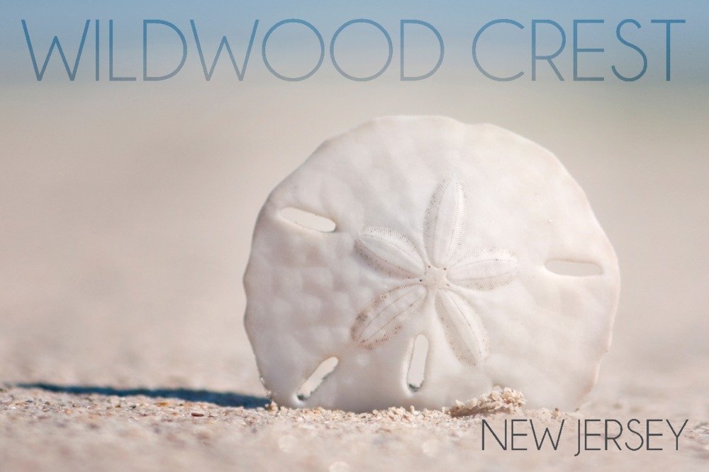 24x36 Gallery Quality Sand Dollar Metal Art - Wildwood Crest New Jersey Beach Decor, Aluminum Wall Art for Coastal & Nautical Home Decor