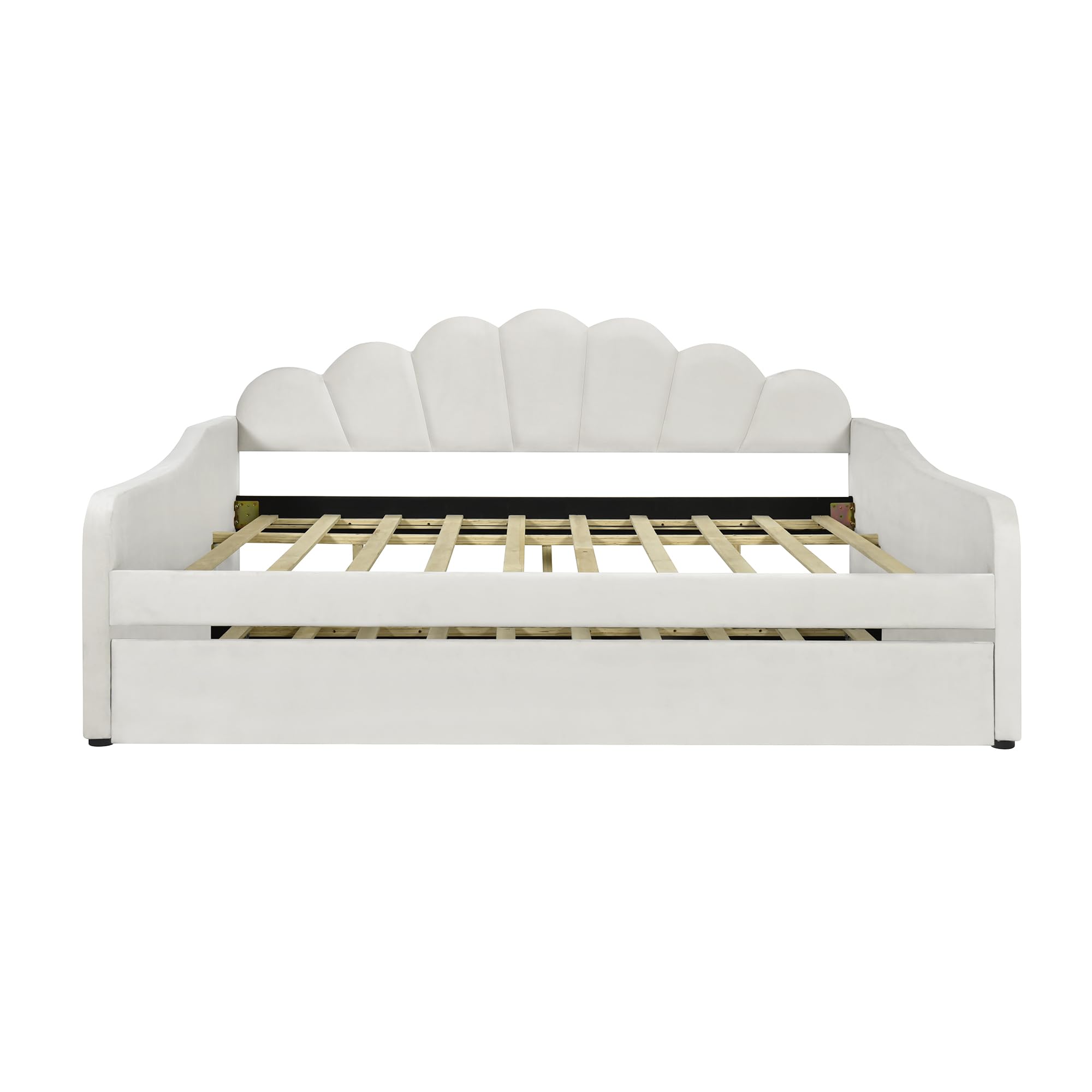 Bellemave Full Size Daybed with Trundle - Convertible Sofa Bed for Adults & Kids, Velvet Upholstered Sleeper for Living Room, Guest Room or Dorm - Beige Modern Furniture for Small Spaces