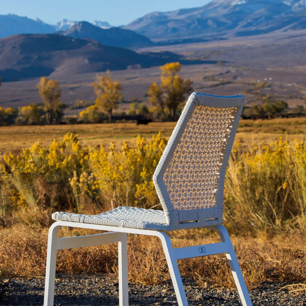 Adriano Aluminum Outdoor Wicker Dining Chairs Set of 2 - Patio Furniture for Garden, Poolside, and Backyard Dining - Weather-Resistant & Comfortable Seating