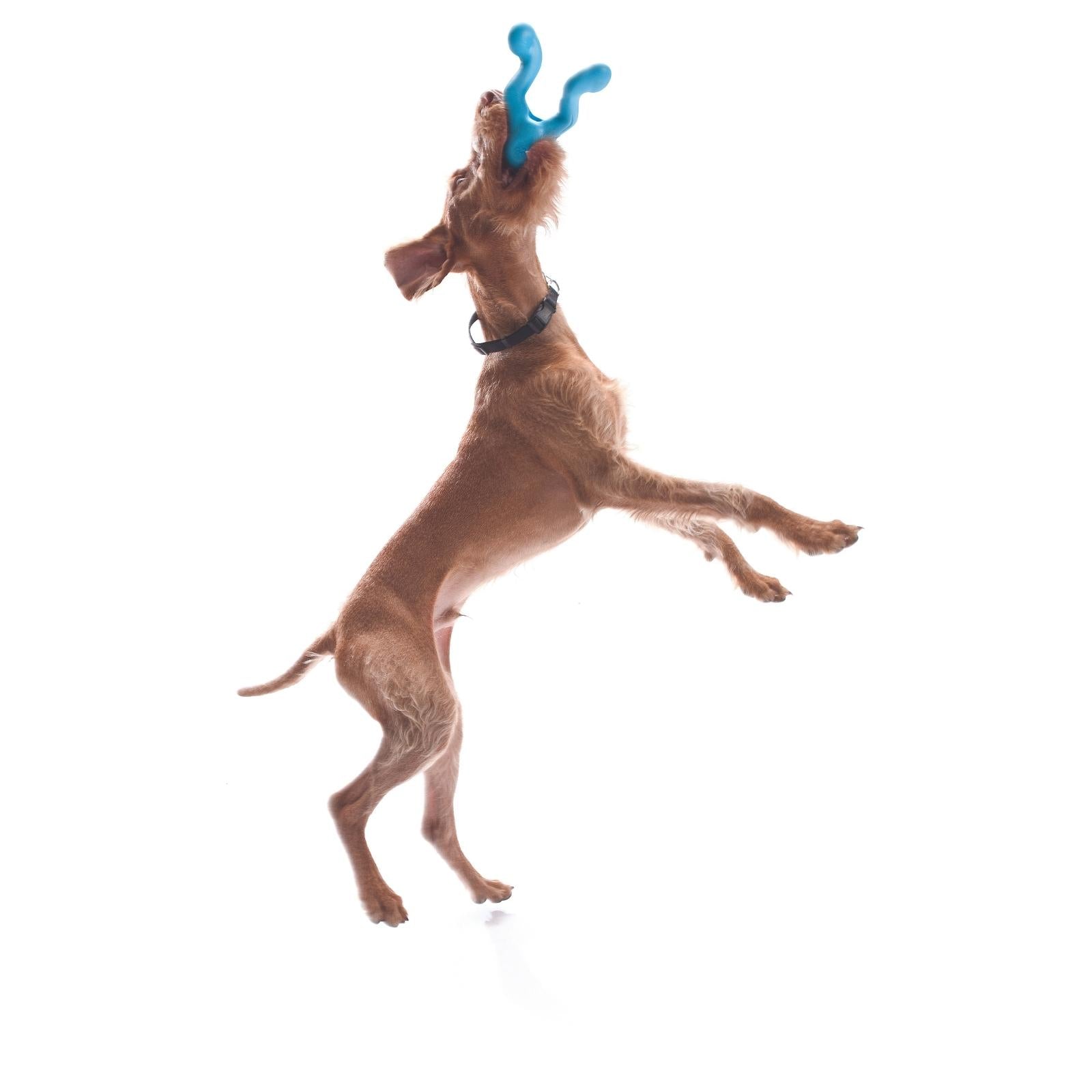 West Paw® TIZZI Blue Dog Toy - Hide & Seek Treat Dispenser for Interactive Play, Training & Mental Stimulation - Perfect for Small to Medium Dogs