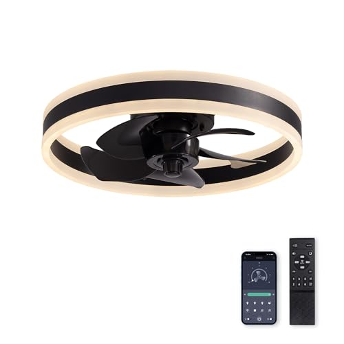 88623-Black