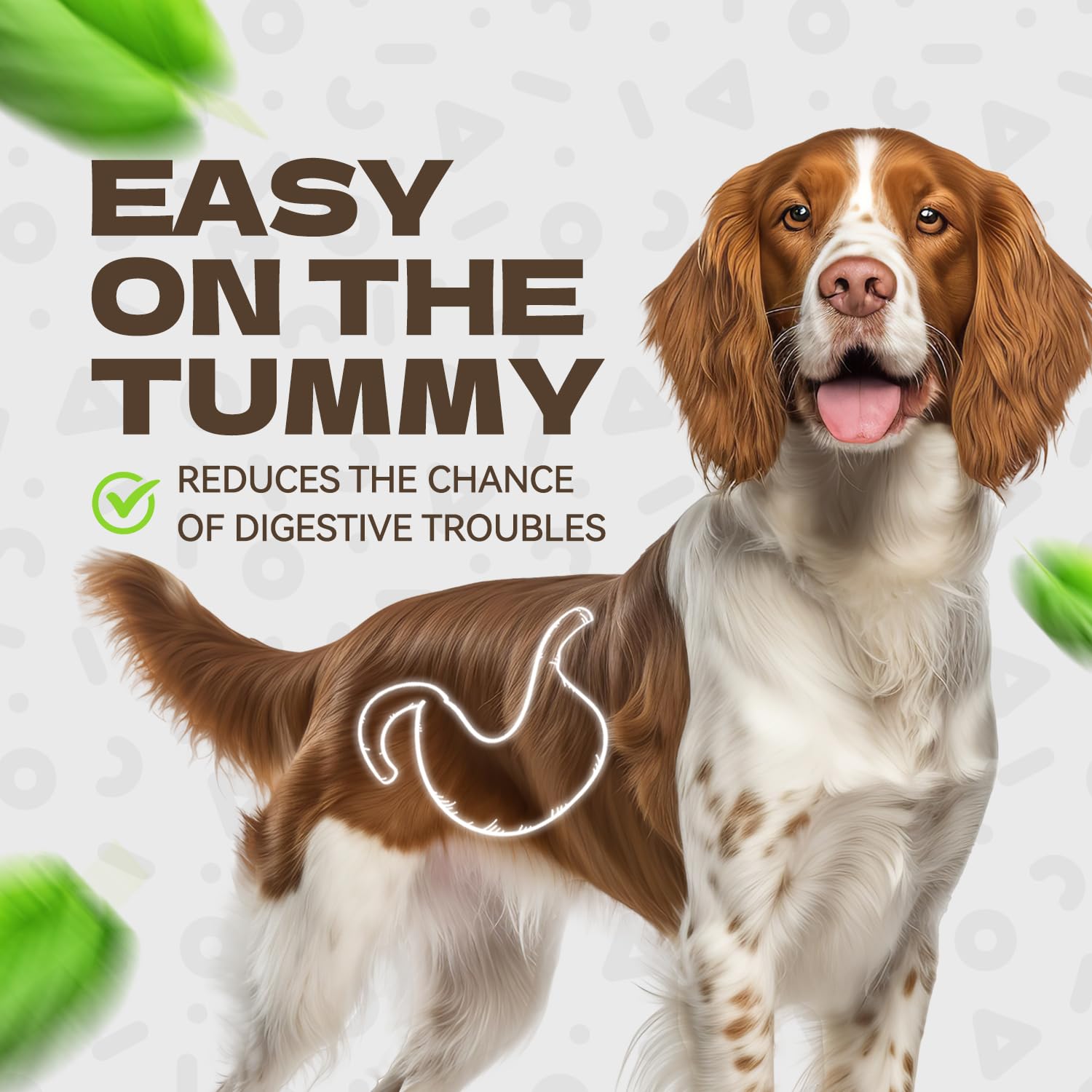 Premium Chicken Jerky Dog Treats - All-Natural, Grain-Free, Rawhide-Free Soft Chews for Small, Medium & Large Breeds - High-Protein Training Snacks & Healthy Rewards (10.54oz) - Perfect for Obedience Training, Travel & Daily Treats