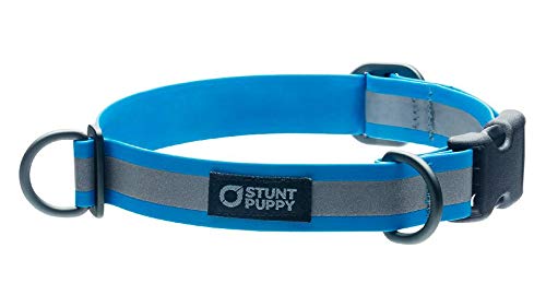 Go Dog Glo Waterproof & Odor-Resistant Dog Collar - Large Size, Ocean Blue - Perfect for Swimming, Bathing & Outdoor Adventures