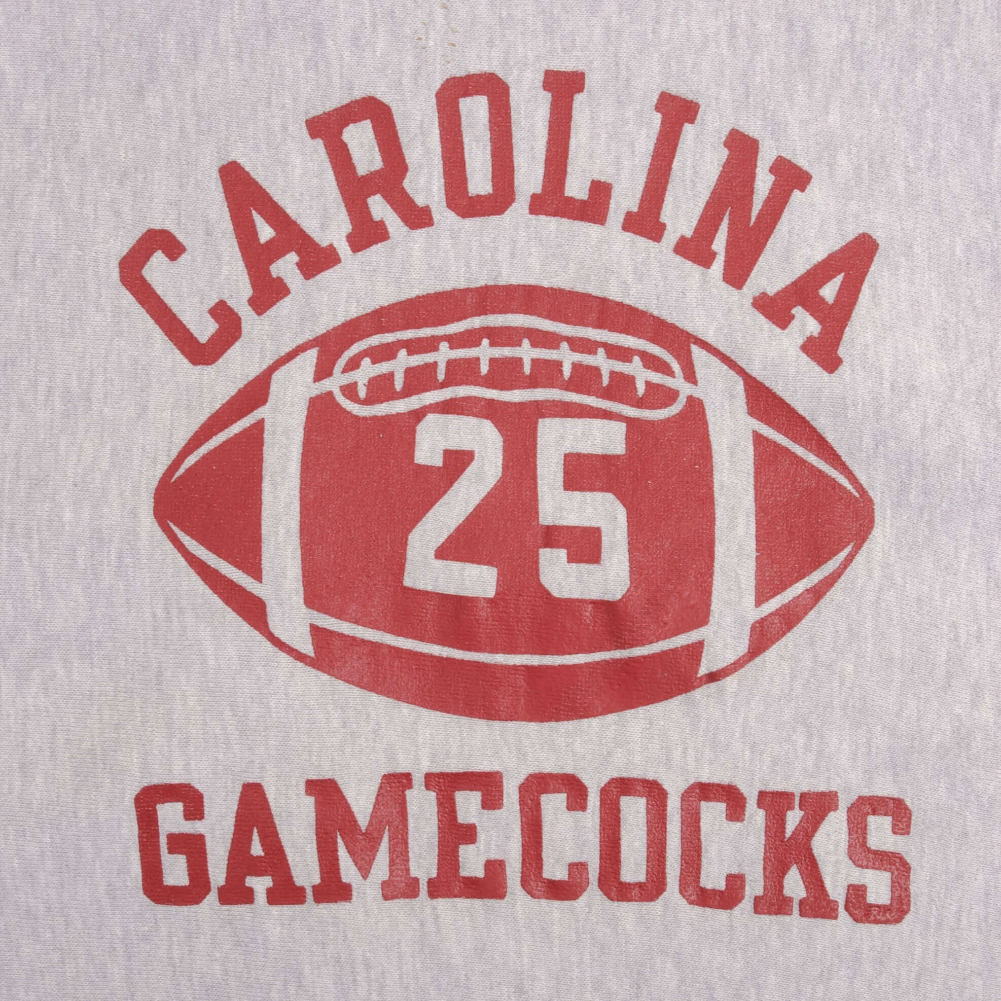 Vintage Champion Carolina Gamecocks Reverse Weave Sweatshirt 1970s Large Made in USA - Retro College Sports Fan Gift & Game Day Outfit