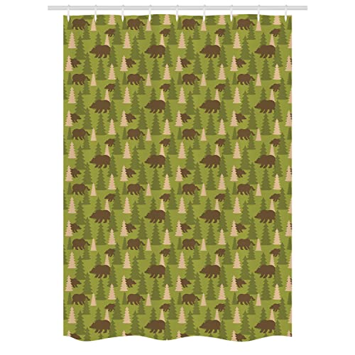 Olive Green Chocolate