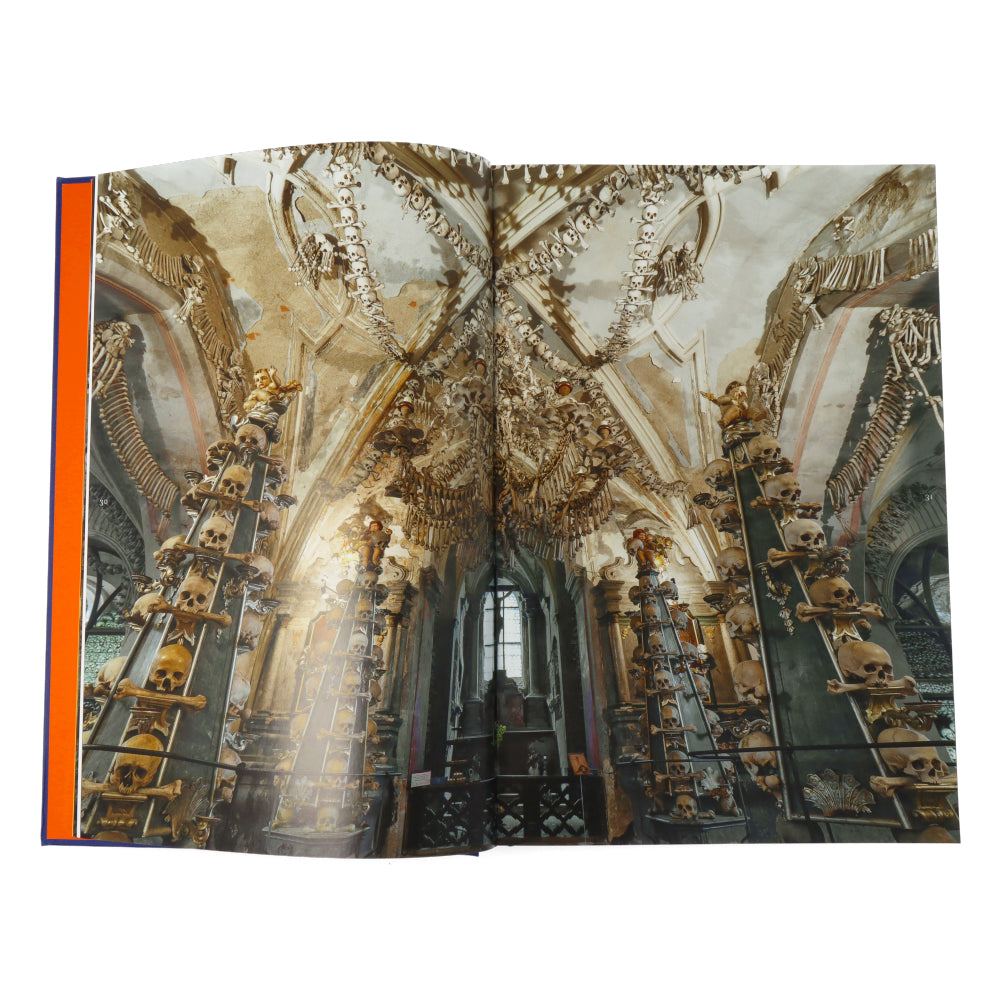 Memento Mori The Dead Among Us (Compact Edition) - Gothic Home Decor & Unique Gift for Halloween, Dark Aesthetic Lovers