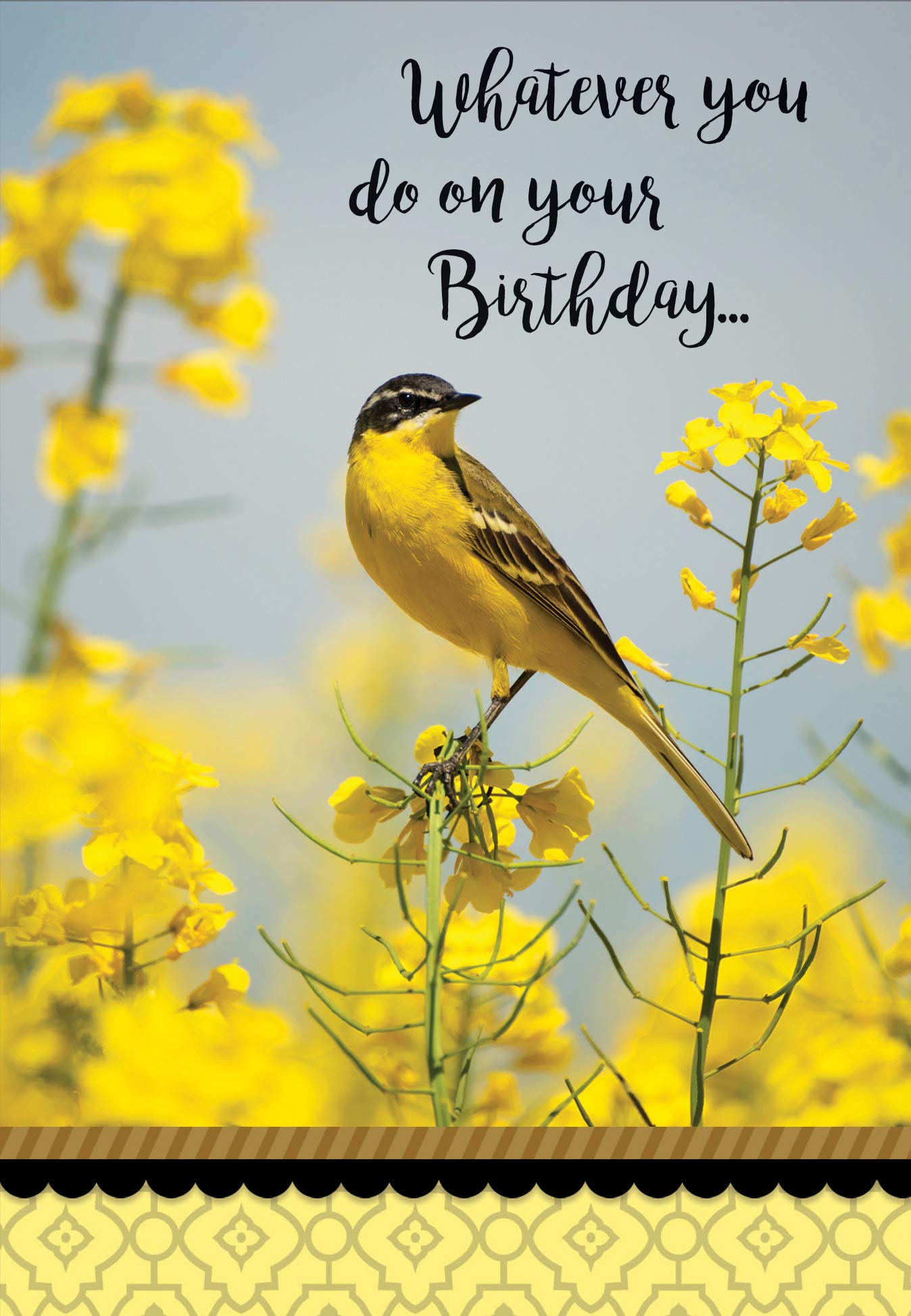 Premium DGR Birthday Greeting Cards - Box of 12 Marvelous Works Greeting Cards for All Occasions | Perfect for Birthdays, Anniversaries & Special Celebrations