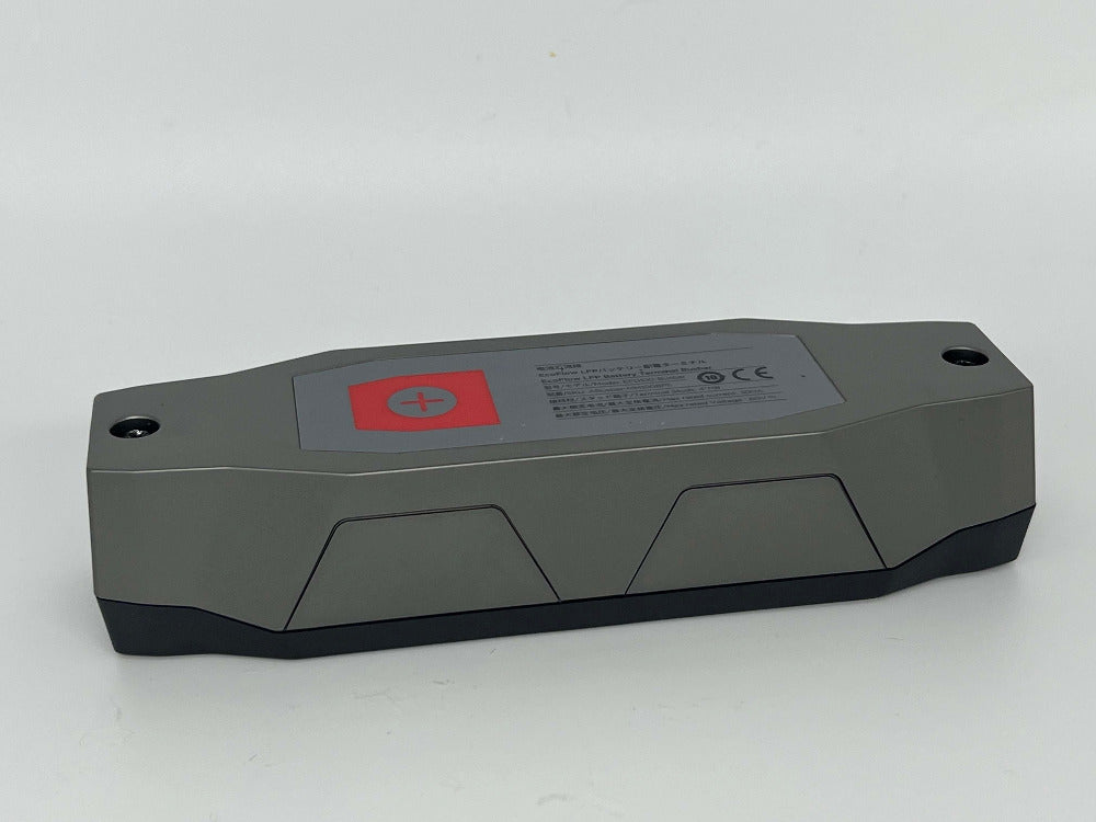 EcoFlow LFP Battery Power Distribution Terminal - Portable Solar Generator for RV, Camping & Emergency Backup Power