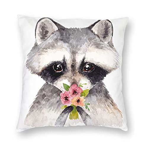 Cute Raccoon