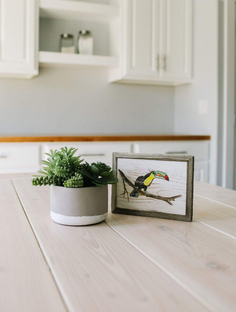 Painted Toucan Bird Barnwood Frames - Wall Decor for Tropical Theme