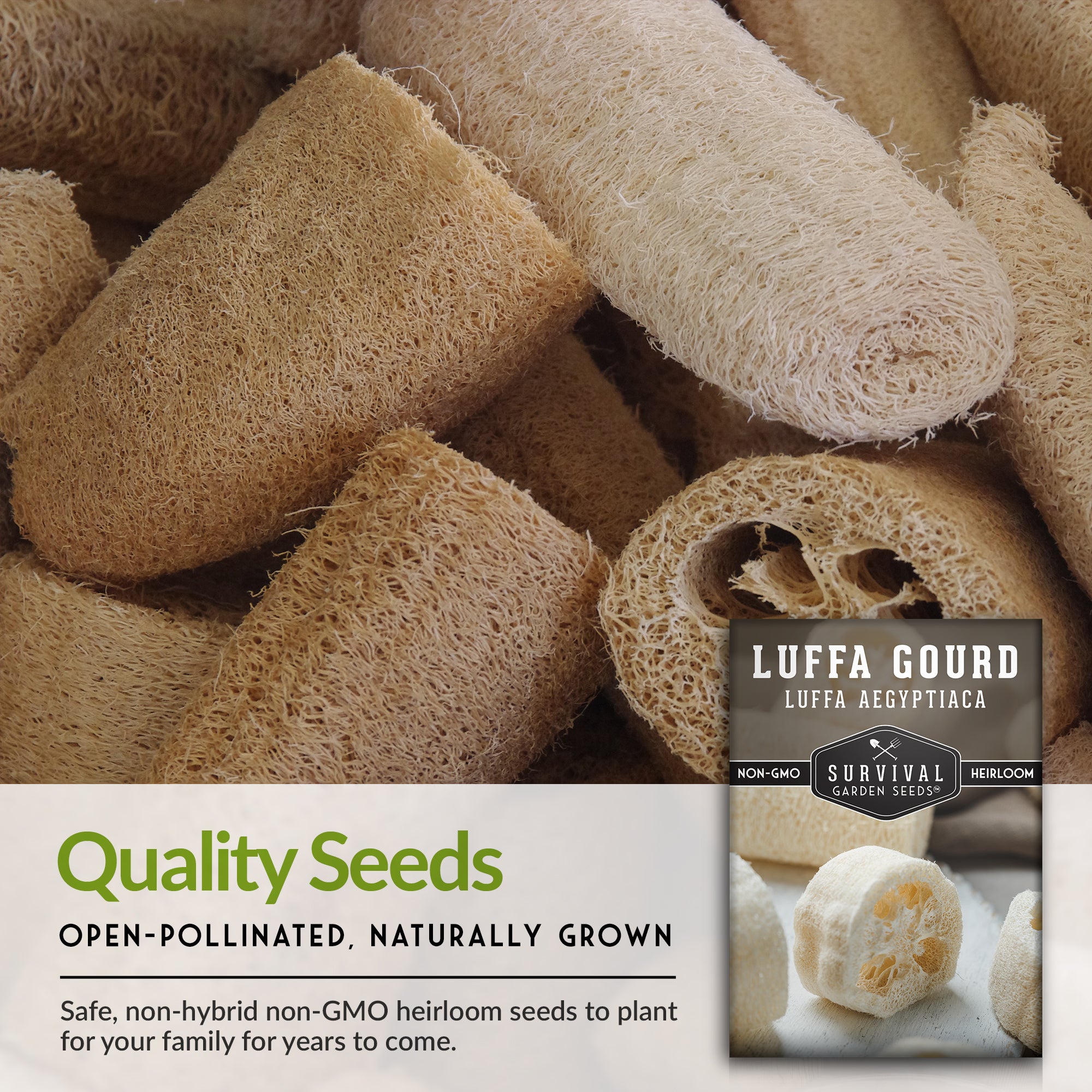 Organic Luffa/Loofah Gourd Seeds for Planting - Natural Exfoliating Sponge & Bath Scrubber - DIY Home Garden, Skin Care & Eco-Friendly Cleaning