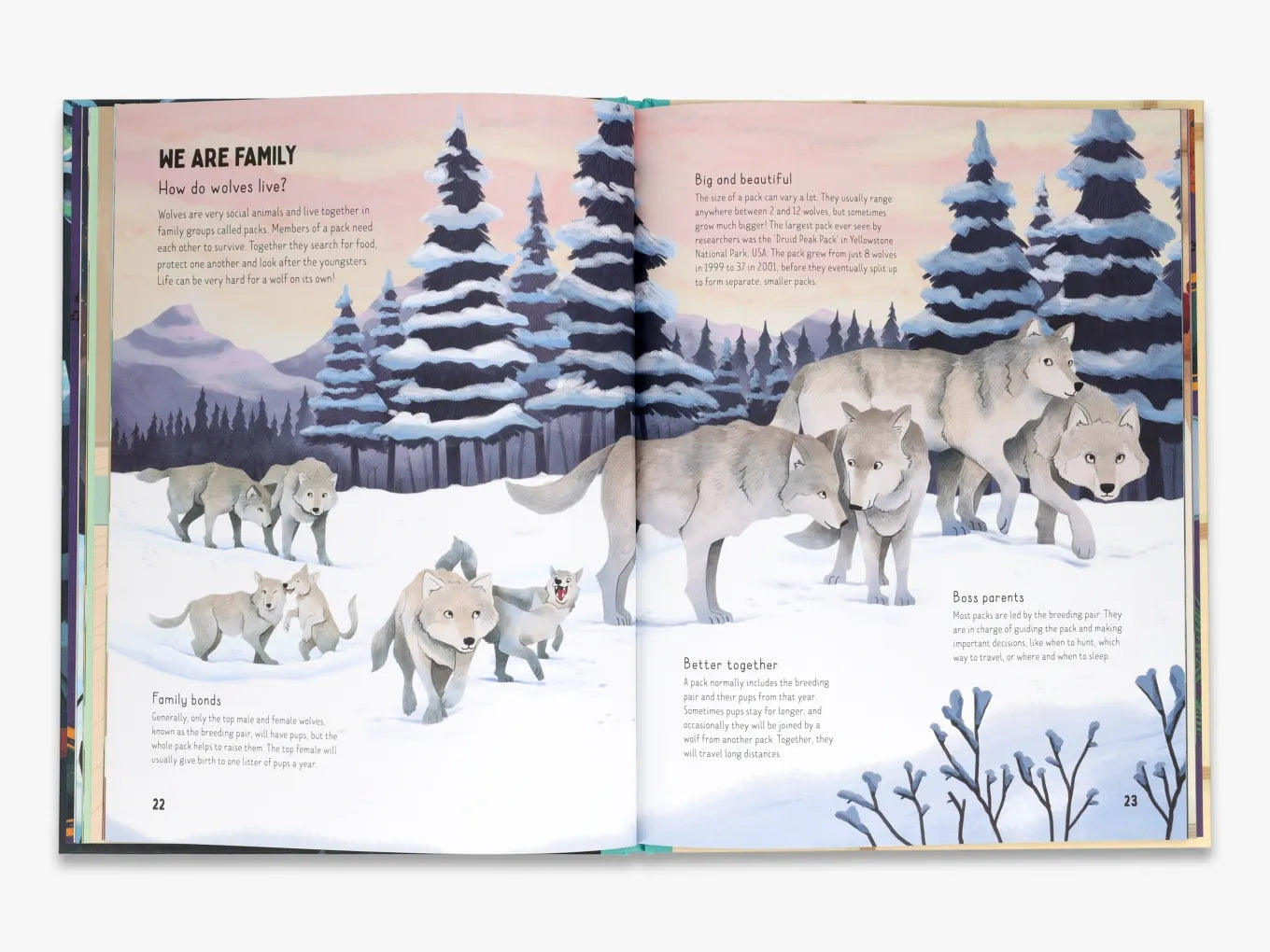 Are Wolves Afraid of the Dark? - Wildlife Behavior Book for Kids | Perfect for Bedtime Stories & Nature Education