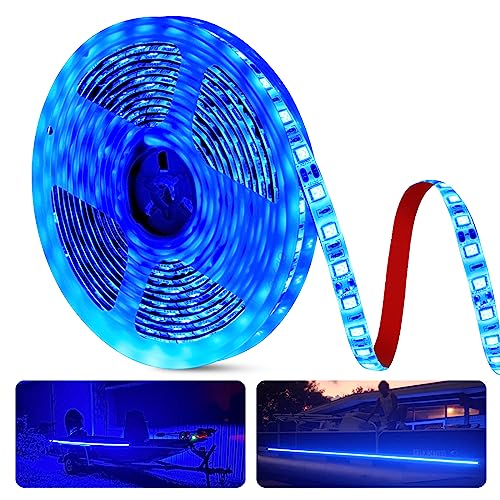 Blue (25ft)