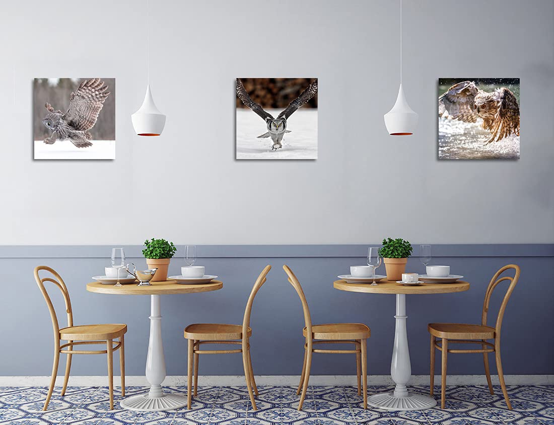 Owl Canvas Wall Art Set of 3 - 20x20 Inch Predator Owl Paintings for Home & Office Decor - Perfect for Living Room, Bedroom, Nursery or Gift
