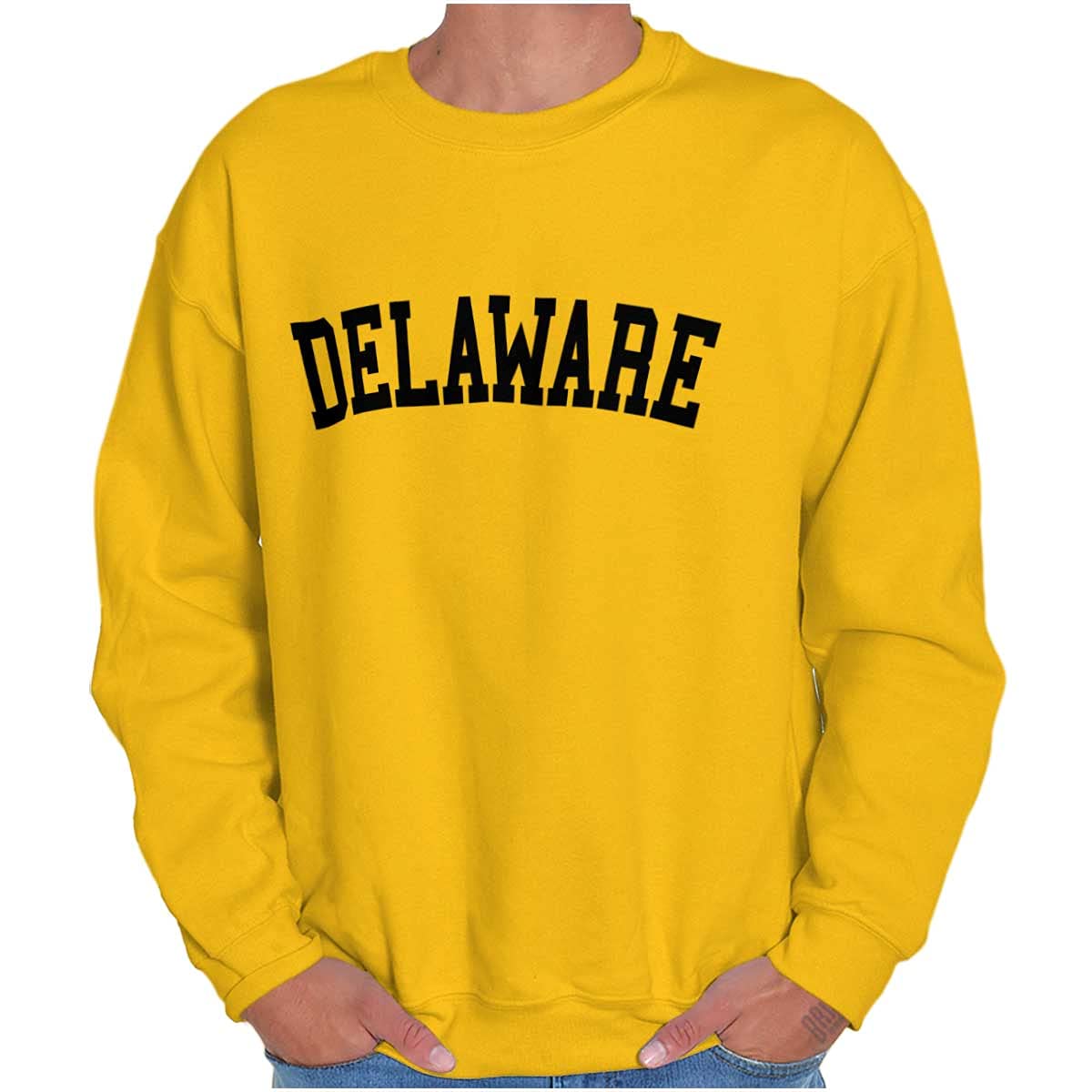Delaware Simple Traditional Classic Sweatshirt for Men & Women - Cozy Unisex Pullover for Casual Wear, College Style, and Outdoor Activities