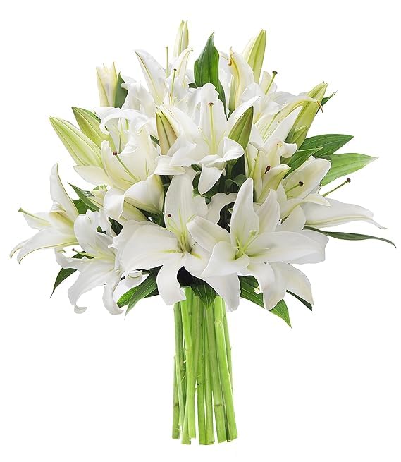 KaBloom Fresh White Lilies Bouquet with Vase - Mother's Day Flowers Gift for Sympathy, Anniversary, Get Well, Thank You & Valentine's Day - Perfect for Home Decor, Wedding Centerpieces & Special Occasions