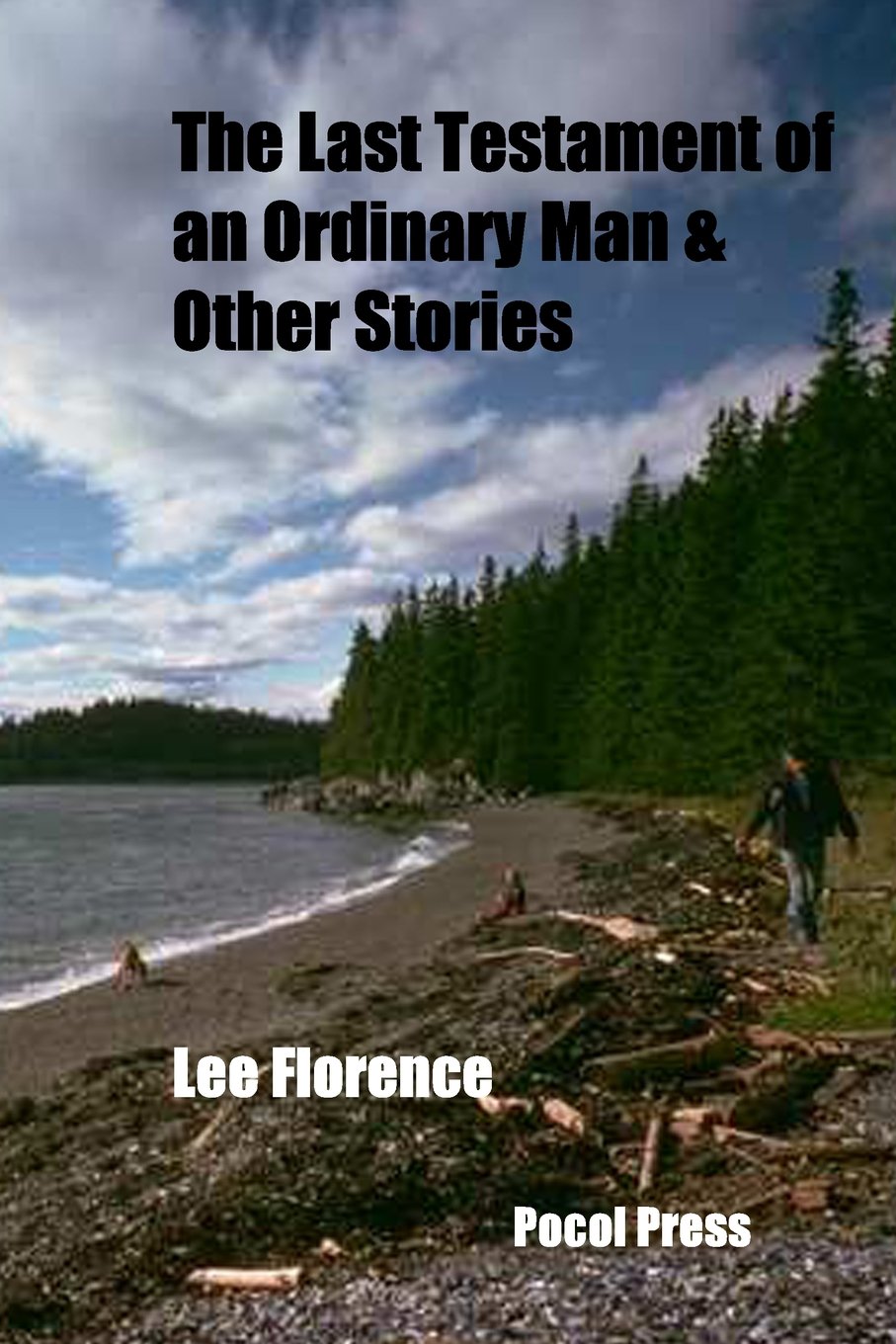 The Last Testament of an Ordinary Man & Other Stories - Collection of Short Fiction Books for American Readers | Perfect for Book Clubs, Gifts & Literary Enthusiasts