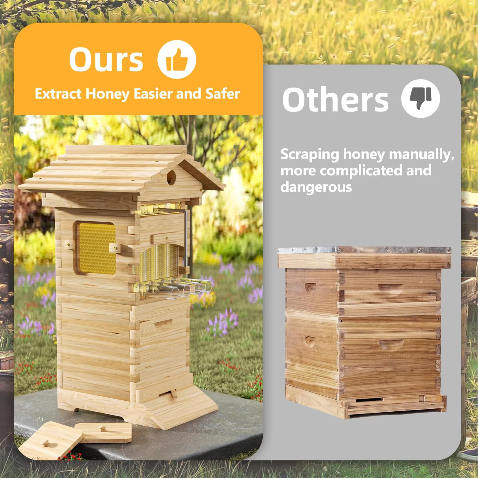 4Pcs Honey Bee Hive Starter Kit with Frames - For Beekeeping Beginners
