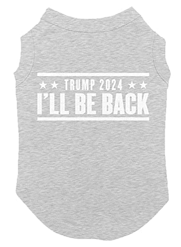 Light Gray - 2020