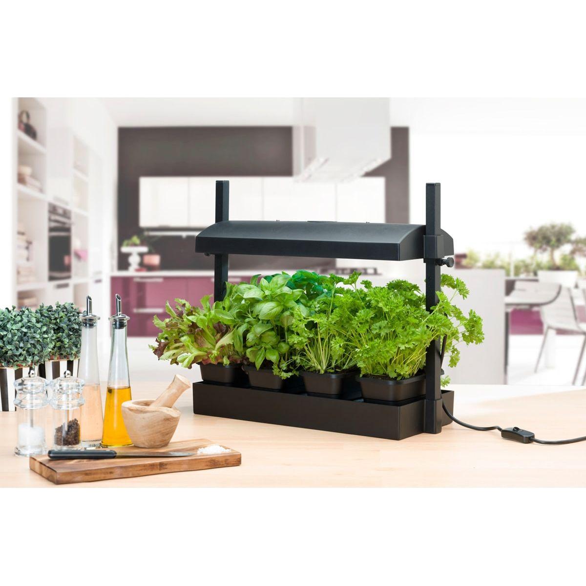 SunBlaster Micro T5 Grow Light Garden - High Efficiency LED Plant Grow Light for Indoor Plants, Hydroponics, Seedlings & Herbs - Perfect for Home Gardening, Greenhouses & Indoor Farming