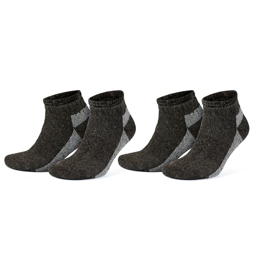 Brown/Ecru - 2 Pairs