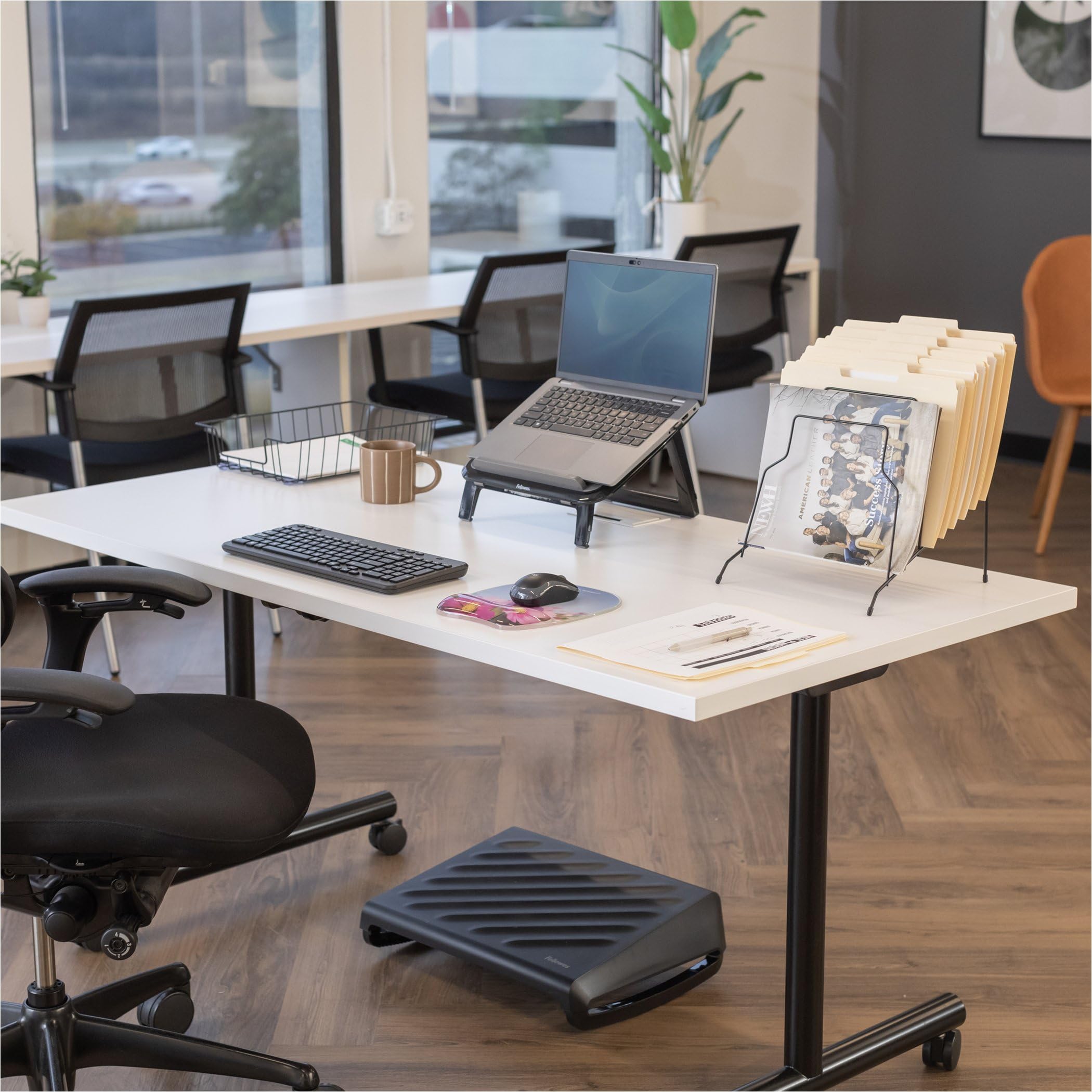 Fellowes 3