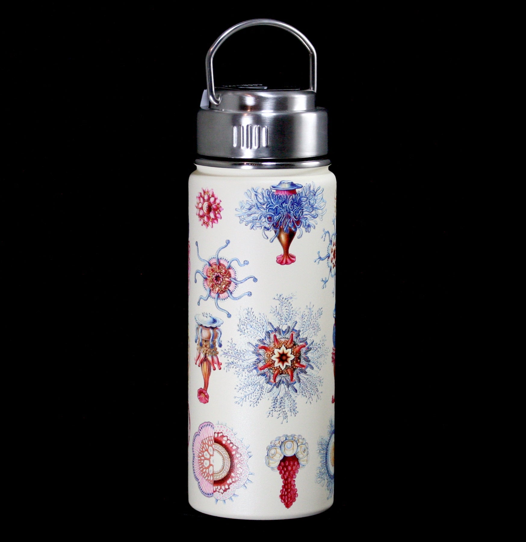 Premium Haeckel Jellyfish Design Stainless Steel Vacuum Insulated Water Bottle - Keeps Drinks Hot/Cold for 24 Hours - Perfect for Outdoor, Office & Gym Use
