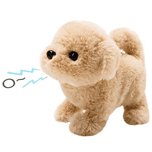 A-golden Retriever