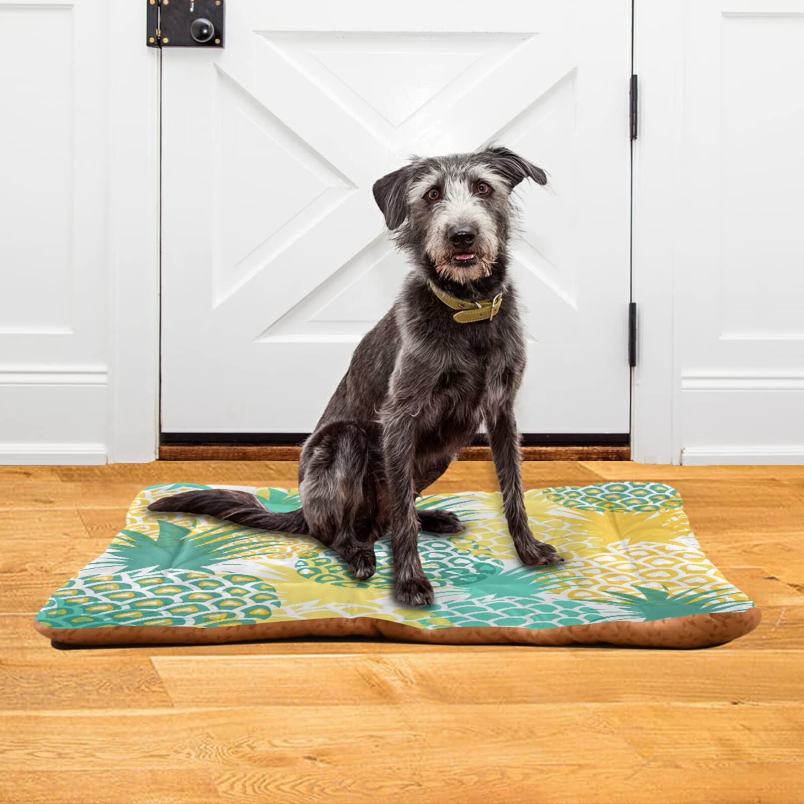 Xigua Pineapple Tropical Dog Bed & Cat Bed - Ultra Soft Rectangle Pet Bed for Small & Medium Dogs - Comfortable Calming Bed 24x18 Inches - Perfect for Indoor Use, Crate Replacement, or Cozy Nap Spot