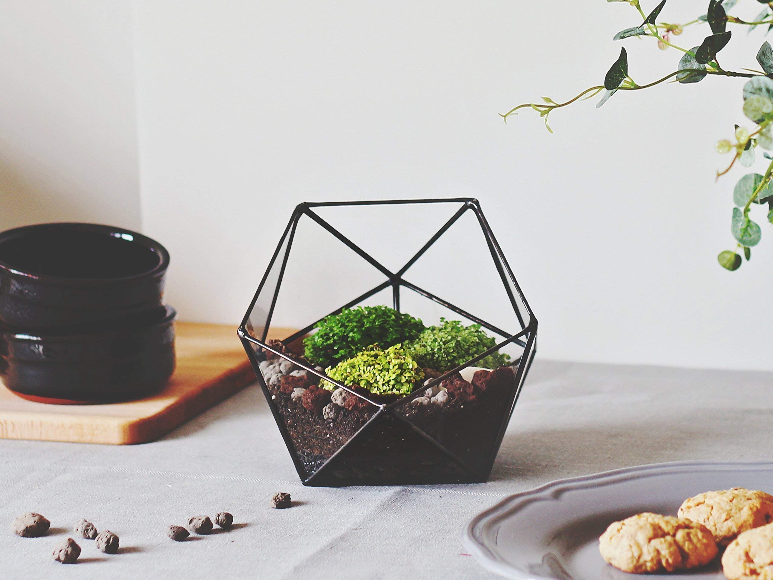 Clear Glass Geometric Terrarium Container - Modern Icosahedron Planter for Succulents & Air Plants | Home & Living Room Decor | Wedding Table Centerpiece & Reception Decor (Copper, Silver, Black) | Perfect for Indoor Plant Display, Office Desk Decor, and Gift Giving