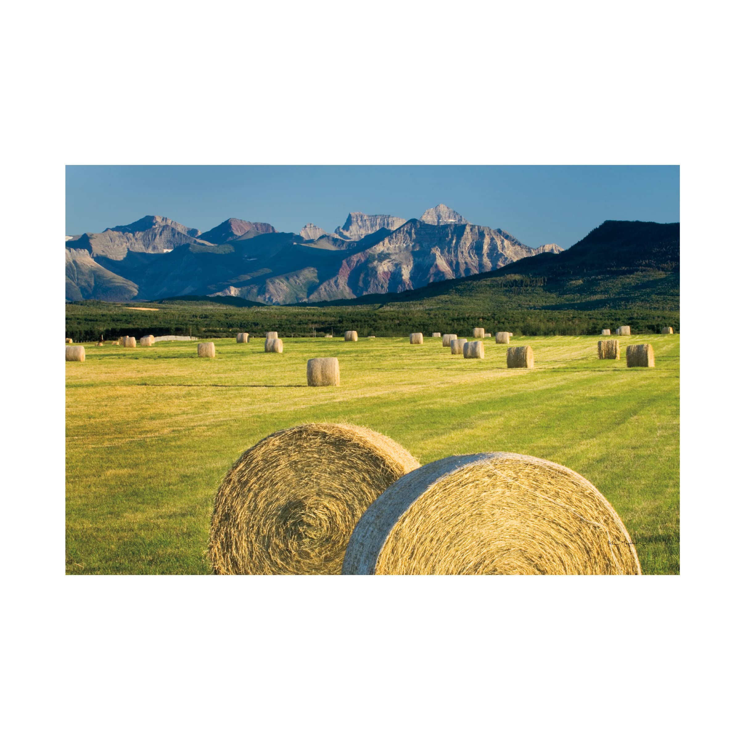 Trademark Fine Art 'Waterton Hay Bales' Canvas Wall Art Print by Alan Majchrowicz - Farmhouse Landscape Painting for Living Room, Bedroom & Office Decor