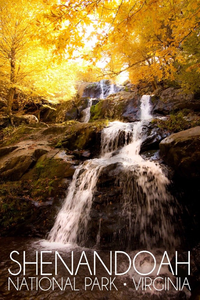 24x36 Signed Shenandoah National Park Autumn Waterfall Art Print - Virginia Landscape Wall Decor Poster for Living Room, Office & Home Decoration