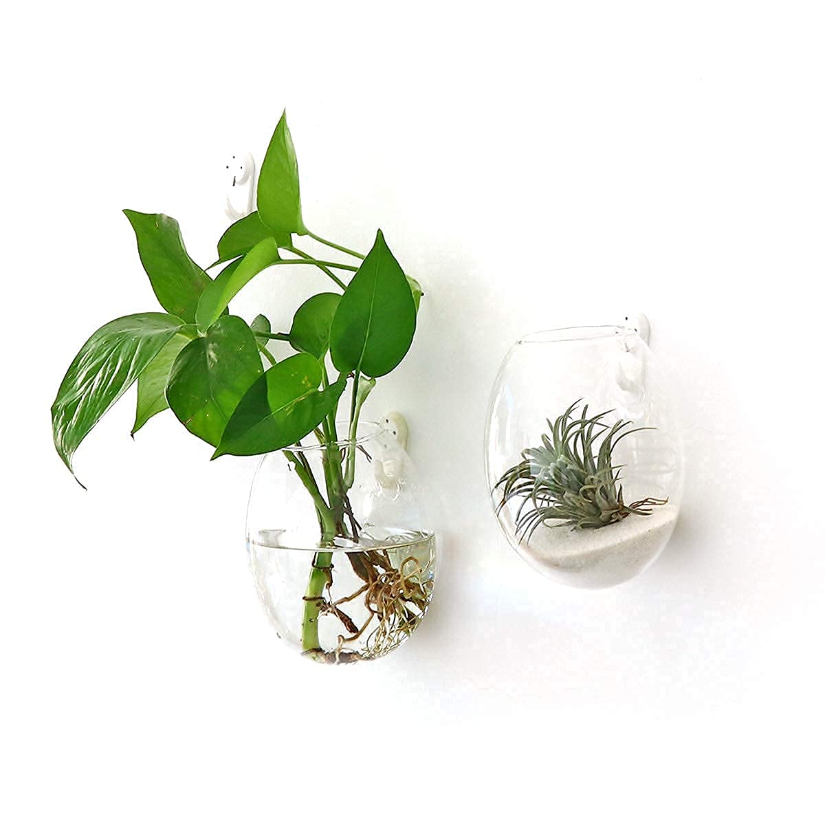 Kingbuy Wall Mount Glass Planter - 2 Egg Shape Terrariums & 4 Square Vases for Hydroponic Plants, Succulents, Air Plants | Home Office Garden Decor, Indoor Plant Propagation Station, Modern Wall Hanging Display for Living Room, Kitchen, Balcony
