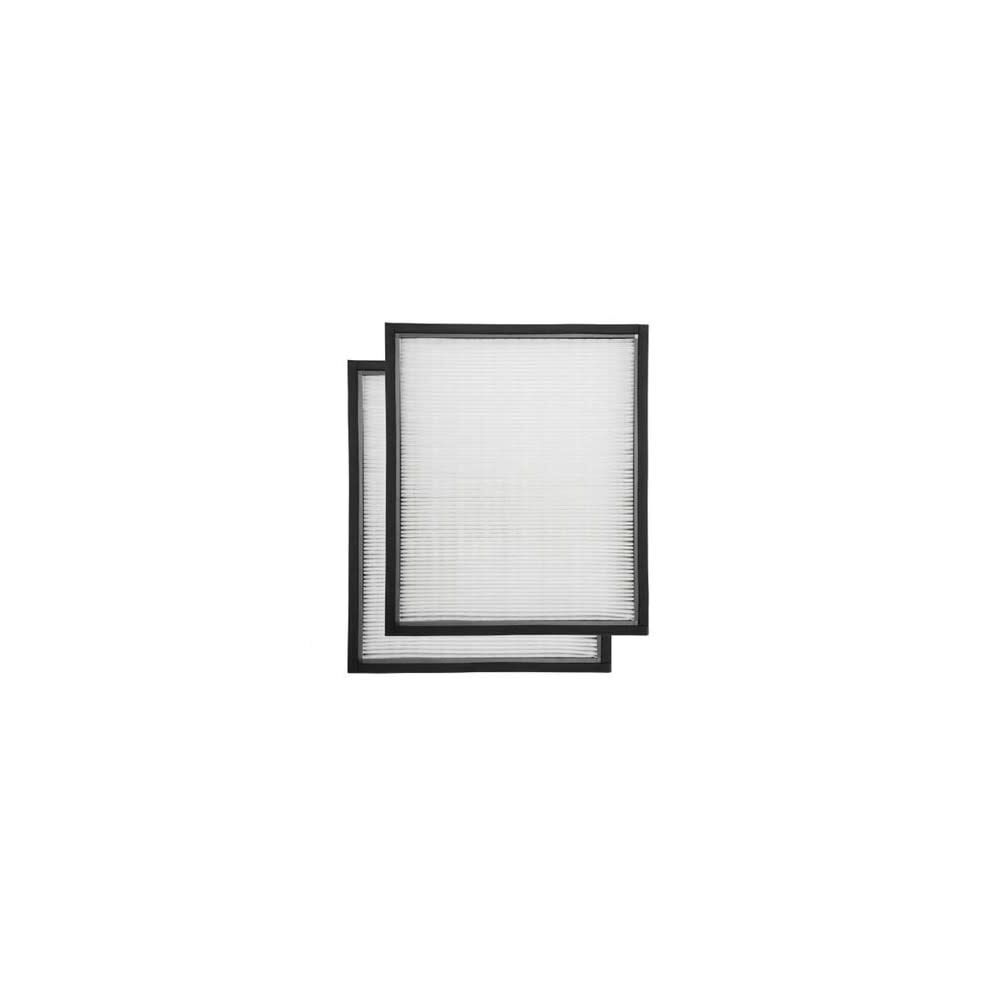 B Air Hepa Filter for RA 650 Air Purifier - 2 Pack Replacement Filters | Improves Indoor Air Quality for Allergies & Asthma Relief | Perfect for Home, Office & Bedroom Use