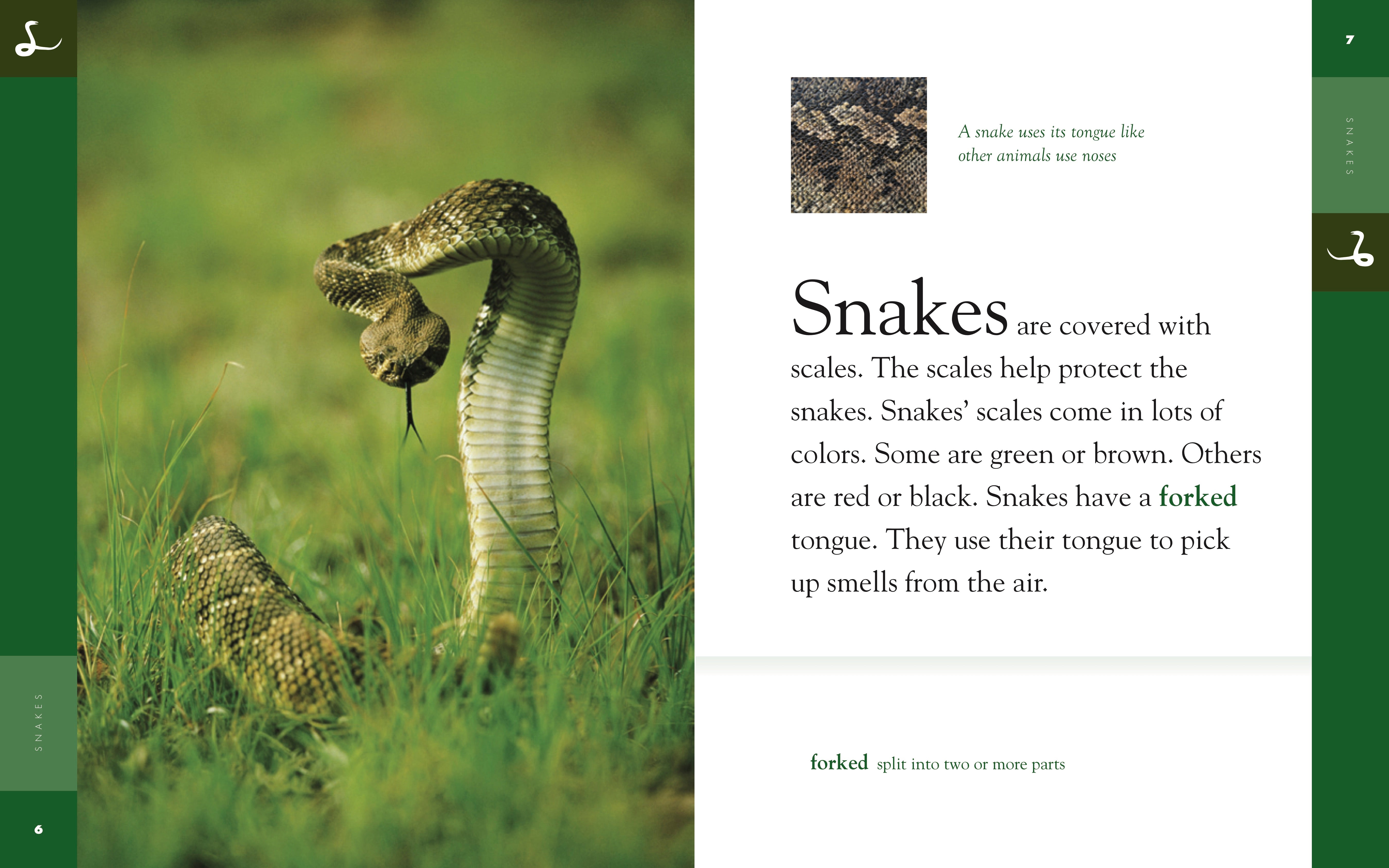 Amazing Animals (2014) - Snakes Documentary | Wildlife & Nature Exploration | Perfect for Animal Lovers & Science Education